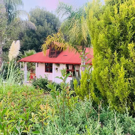 Cabañas los cactus 2 Huasca de Ocampo Exterior foto