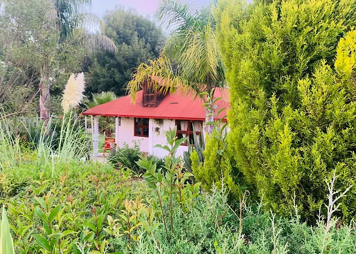 Cabañas los cactus 2