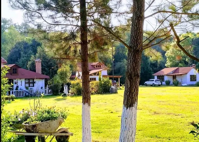 Cabañas los cactus 2