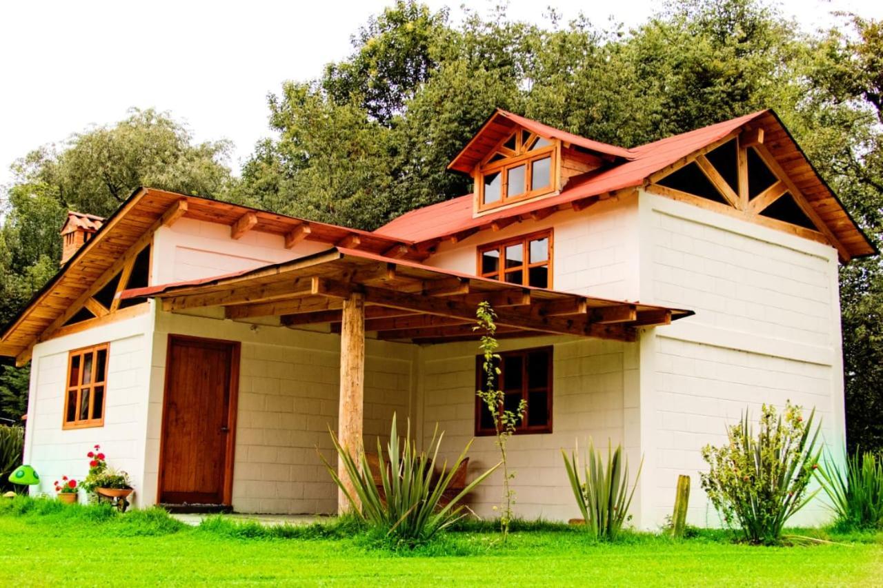 Casa rural Cactus 2