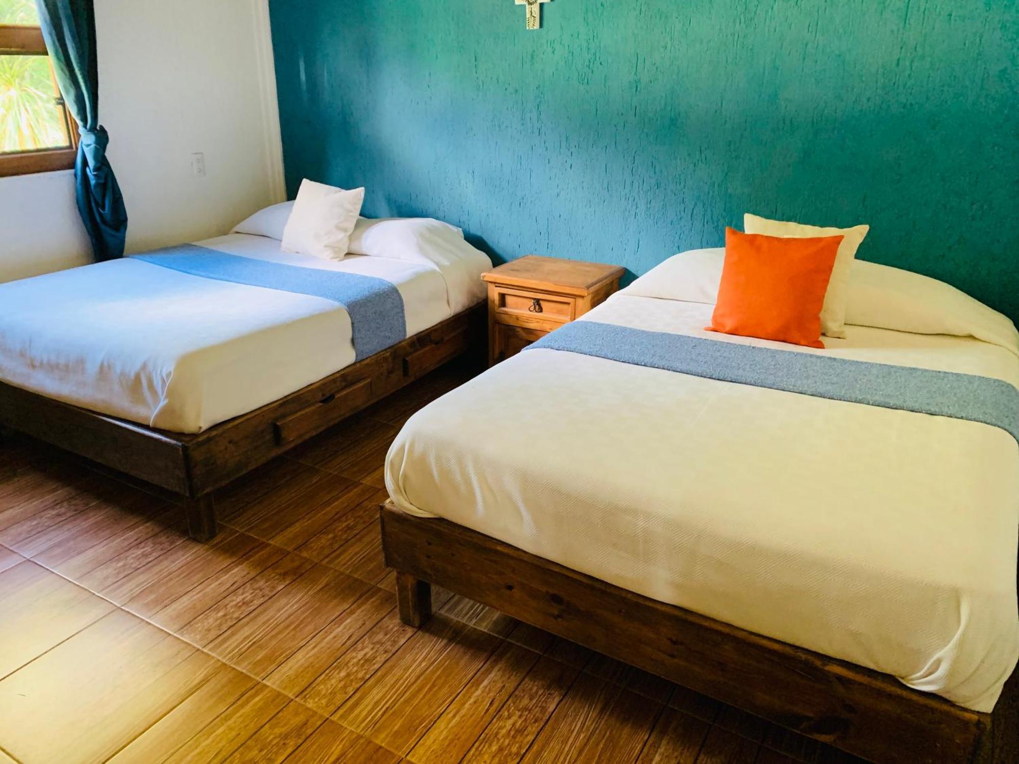 Casa rural Cactus 2 *