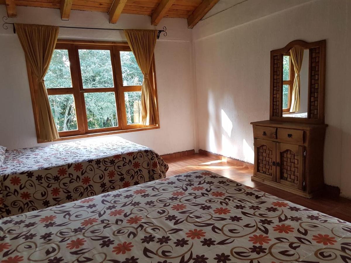 Casa rural Cactus 2